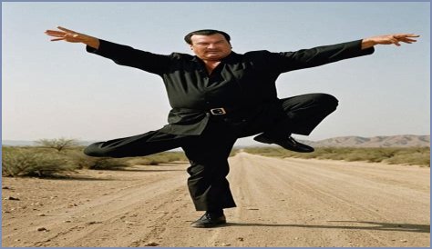 Steven Seagal's Rise And Fall In Hollywood